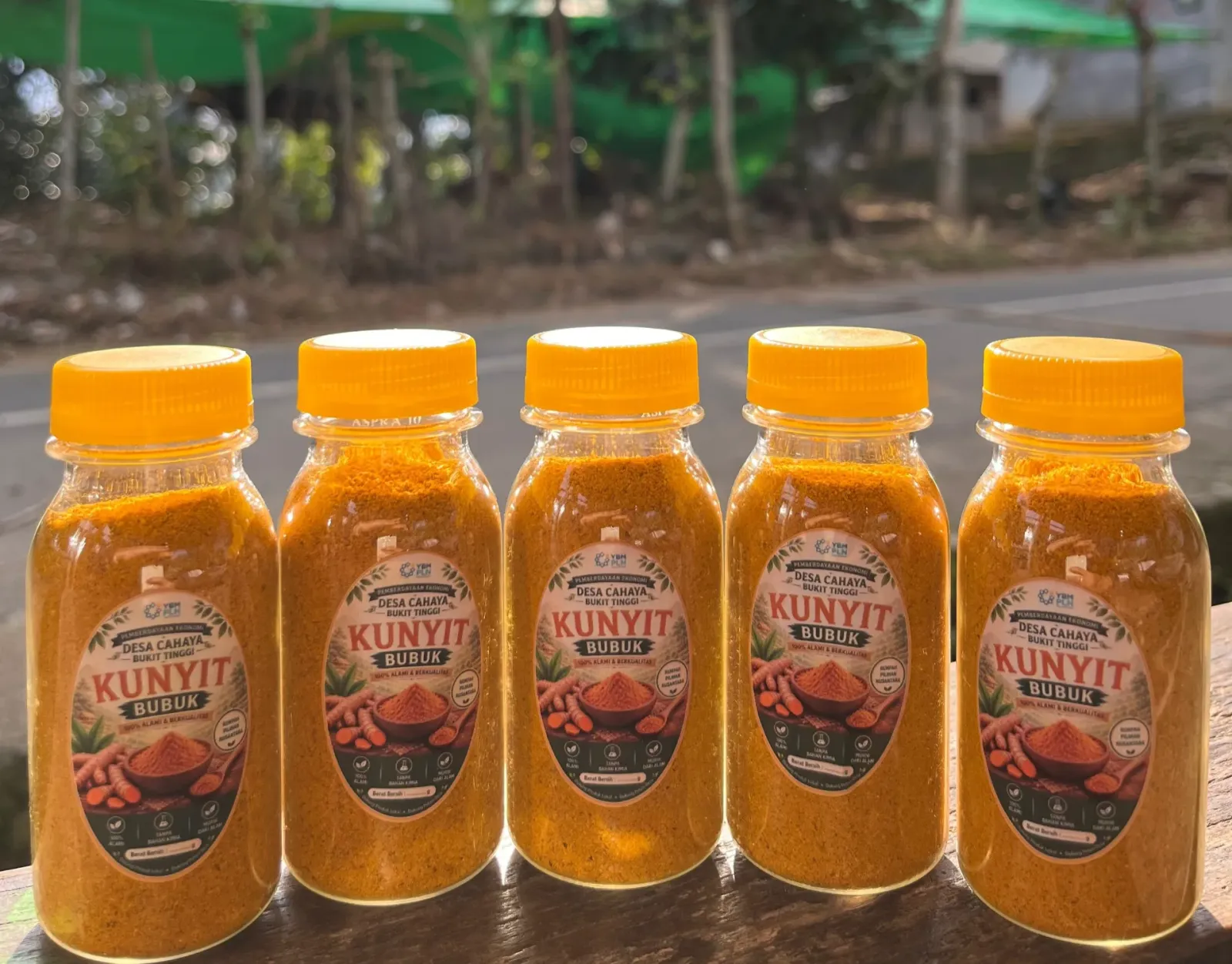 Kunyit Bubuk Botol 40gr